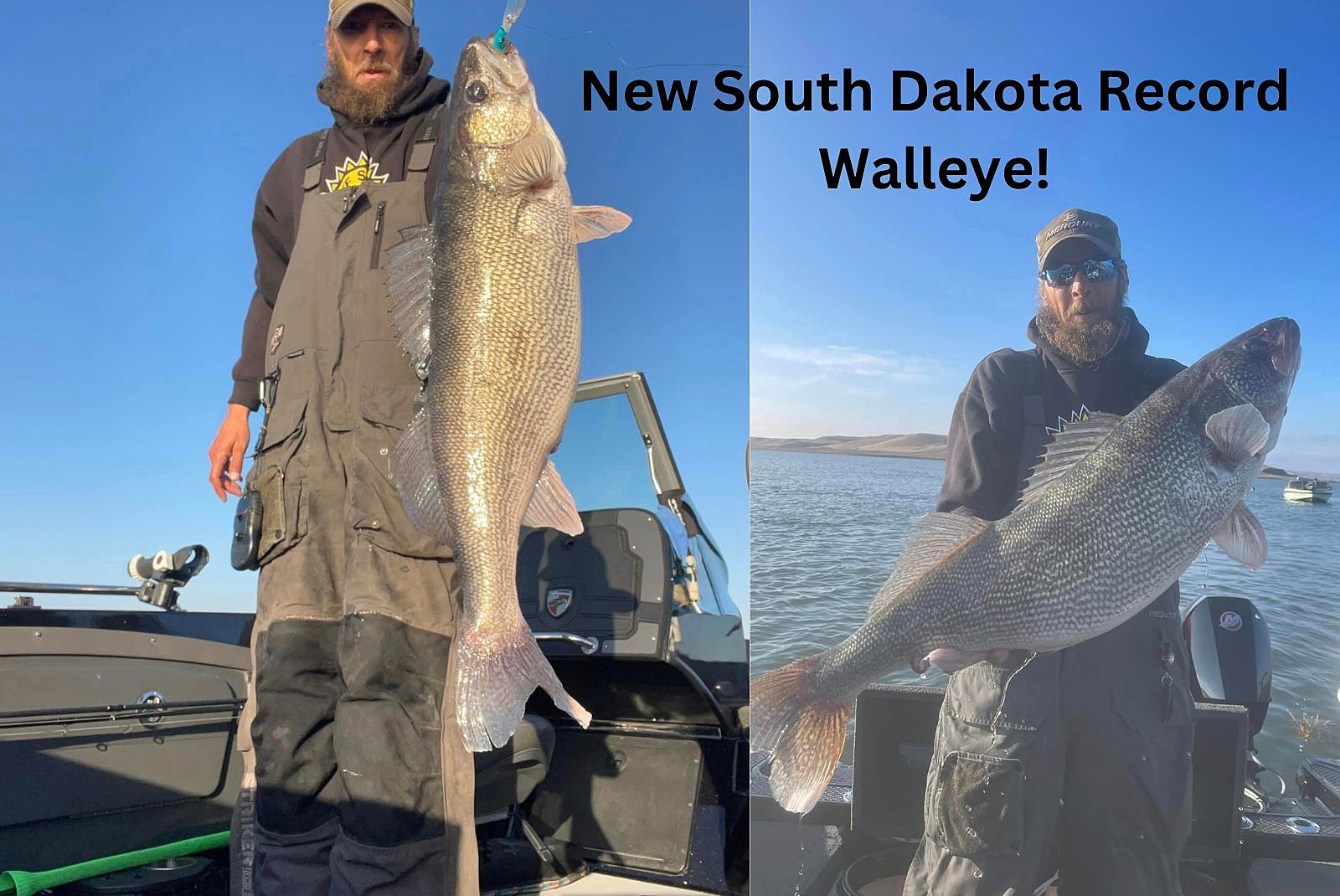 walleye record south dakota, what is the record walleye in south dakota? new record for South Dakota walleye, 
