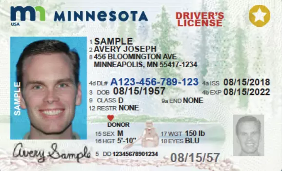 Minnesota Driver's License