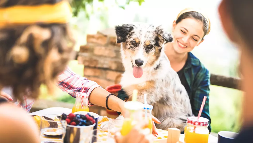 GFP Is Thinking about Changing Its South Dakota State Park Pet Laws