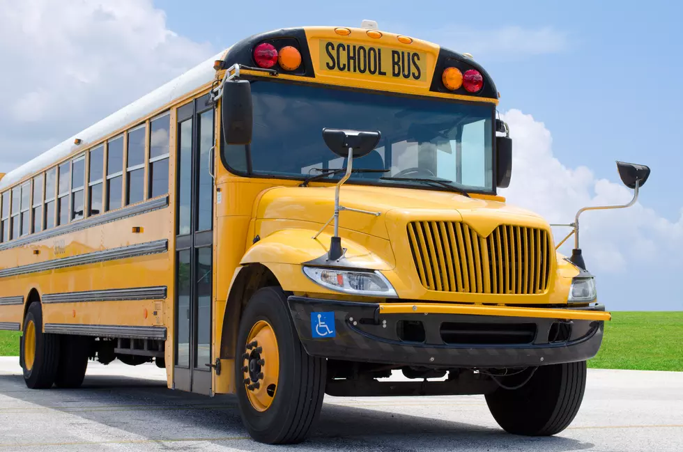 School Buses Collide in Southern Minnesota, 5 Children Hospitalized & Bus Driver Cited